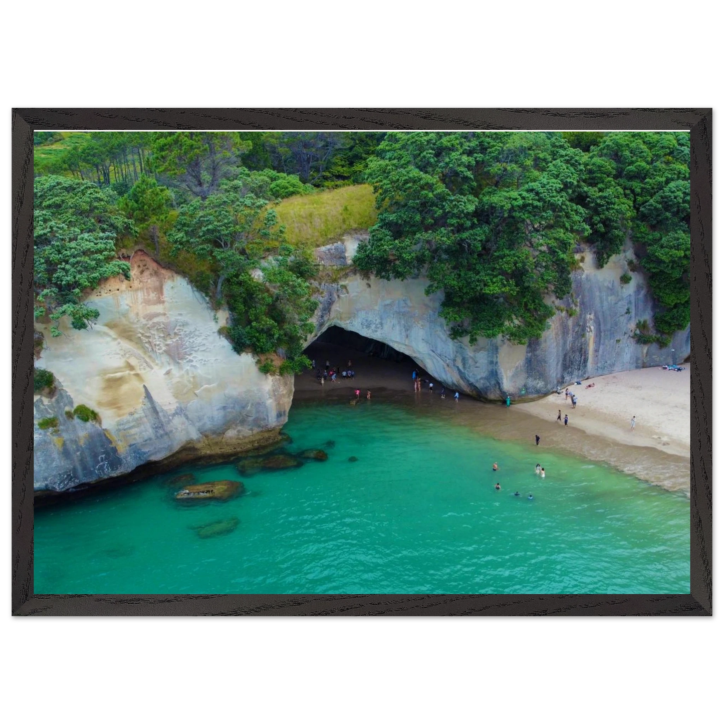 02cea045-d0c2-4564-8ed8-9b5bef499690