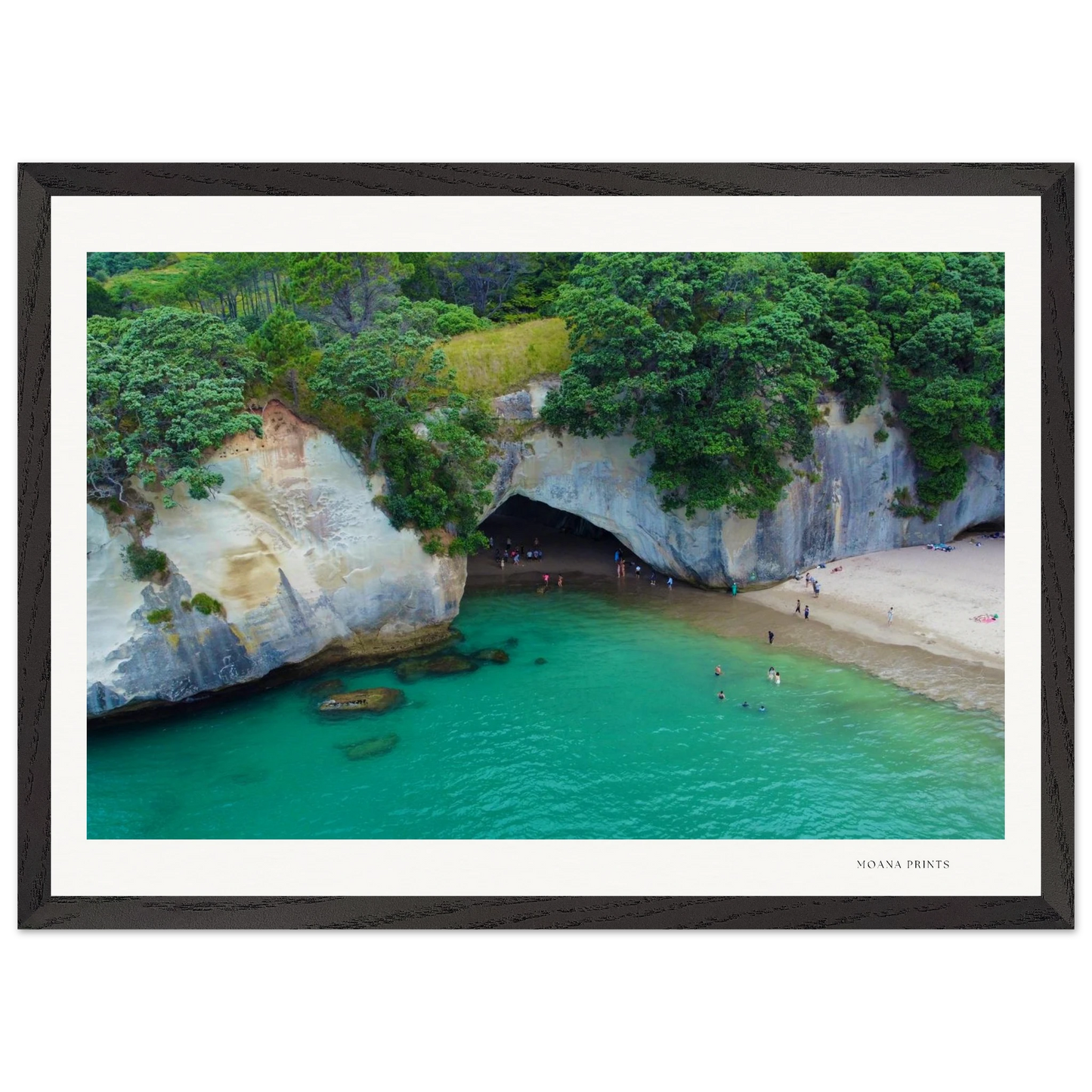 16917b44-ba3b-47b9-9499-10e391b11a76