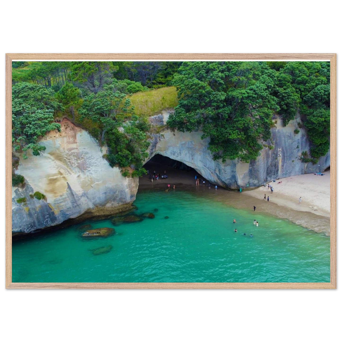 18ea69d5-a5e9-4cf5-a8d9-5b3165ee729f