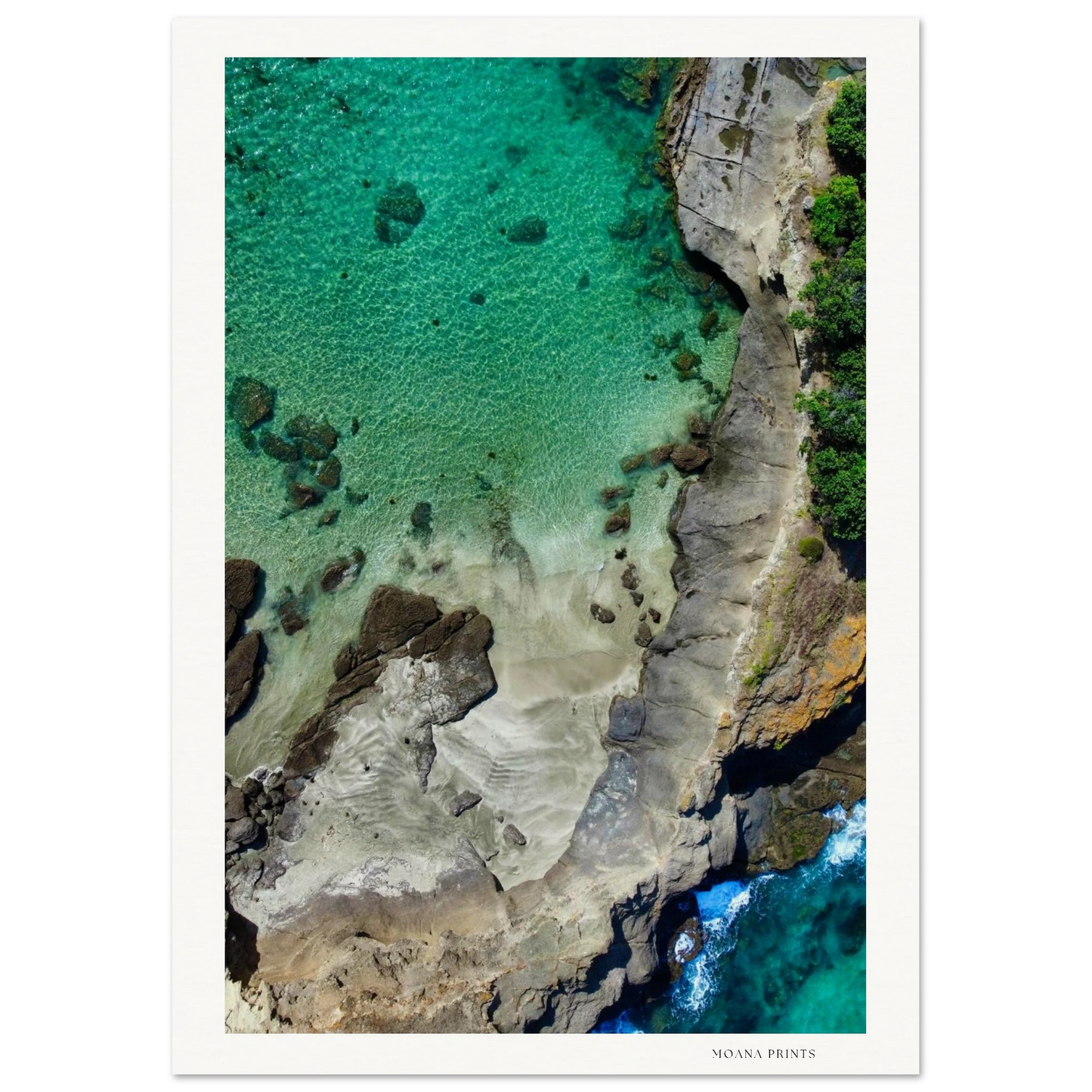 1e89334d-2bf1-40d5-ba70-d13de92e01ea