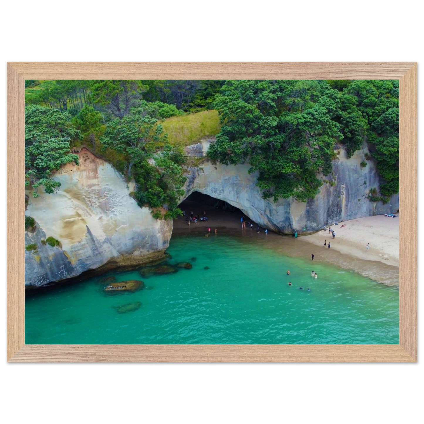 2b99feb8-c163-4d3a-9eba-ea1fef6cb40b