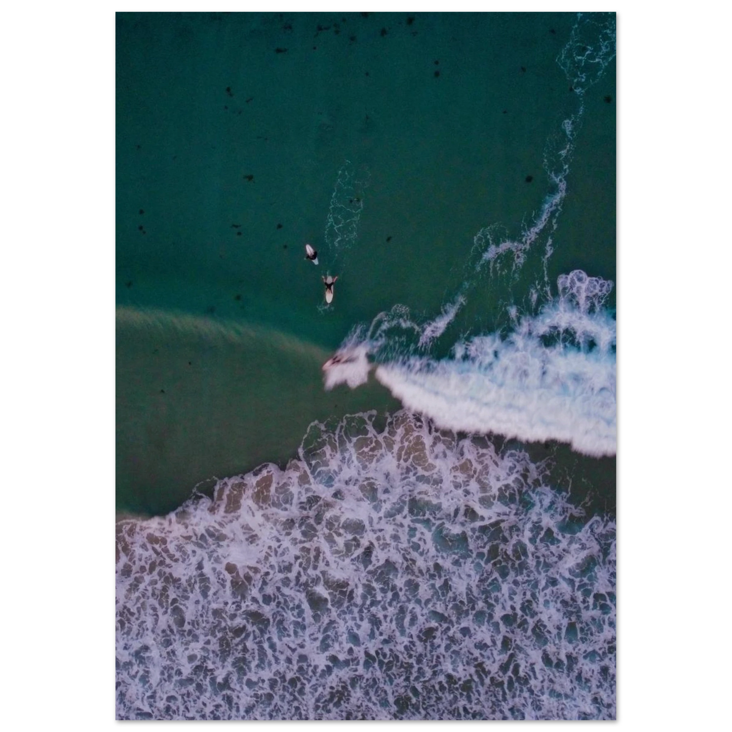 50e1c7af-85e1-4c4f-903f-72ceeb9ef287