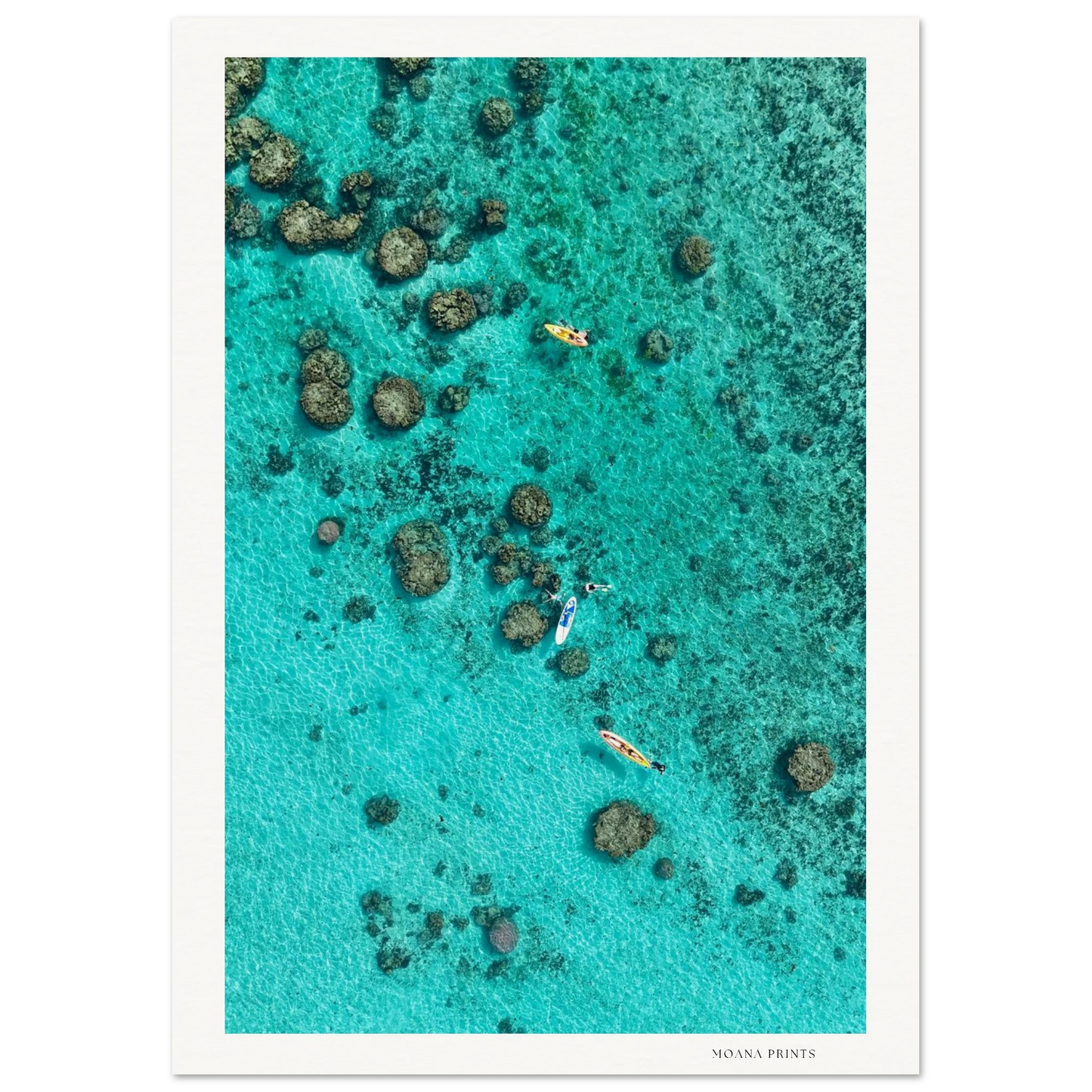 510c046a-f282-4bbb-9ac1-b4470a401cf6