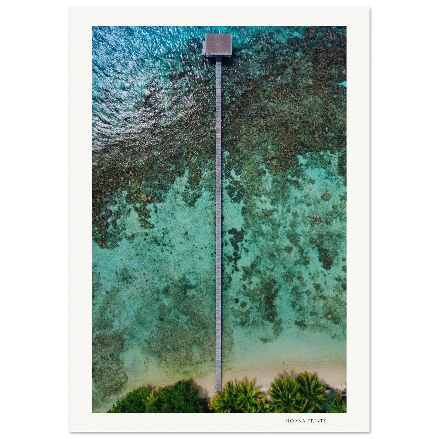 72f6e938-1c0f-4f46-bec9-2a766d83f302