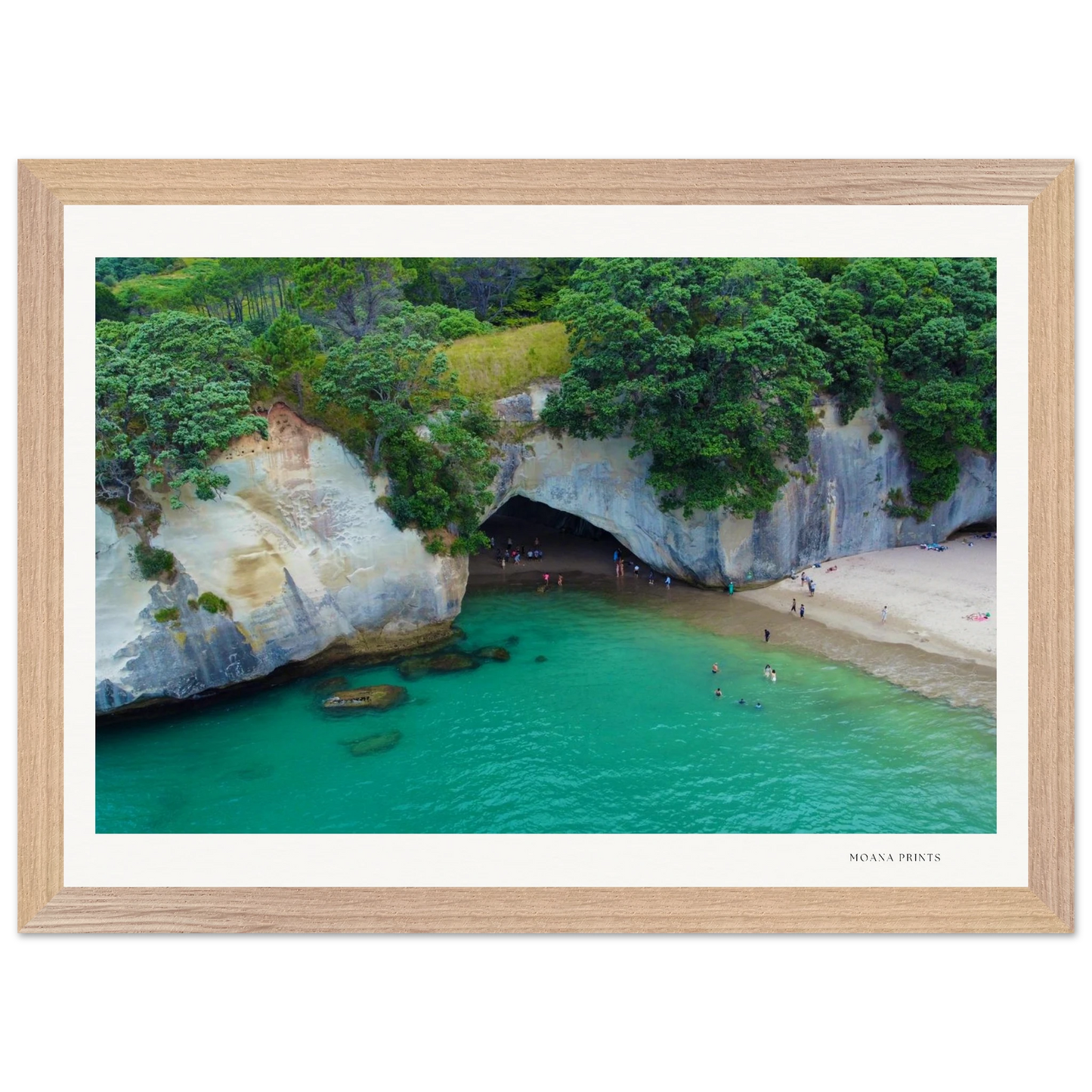 7c7fecde-cdaf-4745-9ffa-4f708cfe1f50