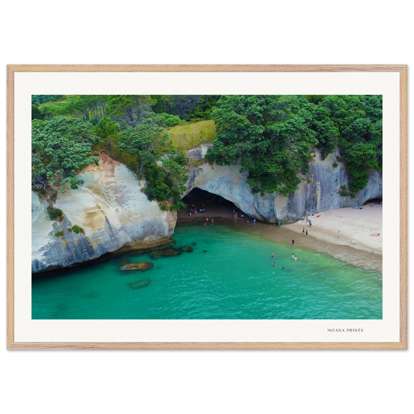 83d79d54-e067-4d4d-a2ee-3acef504a5b7