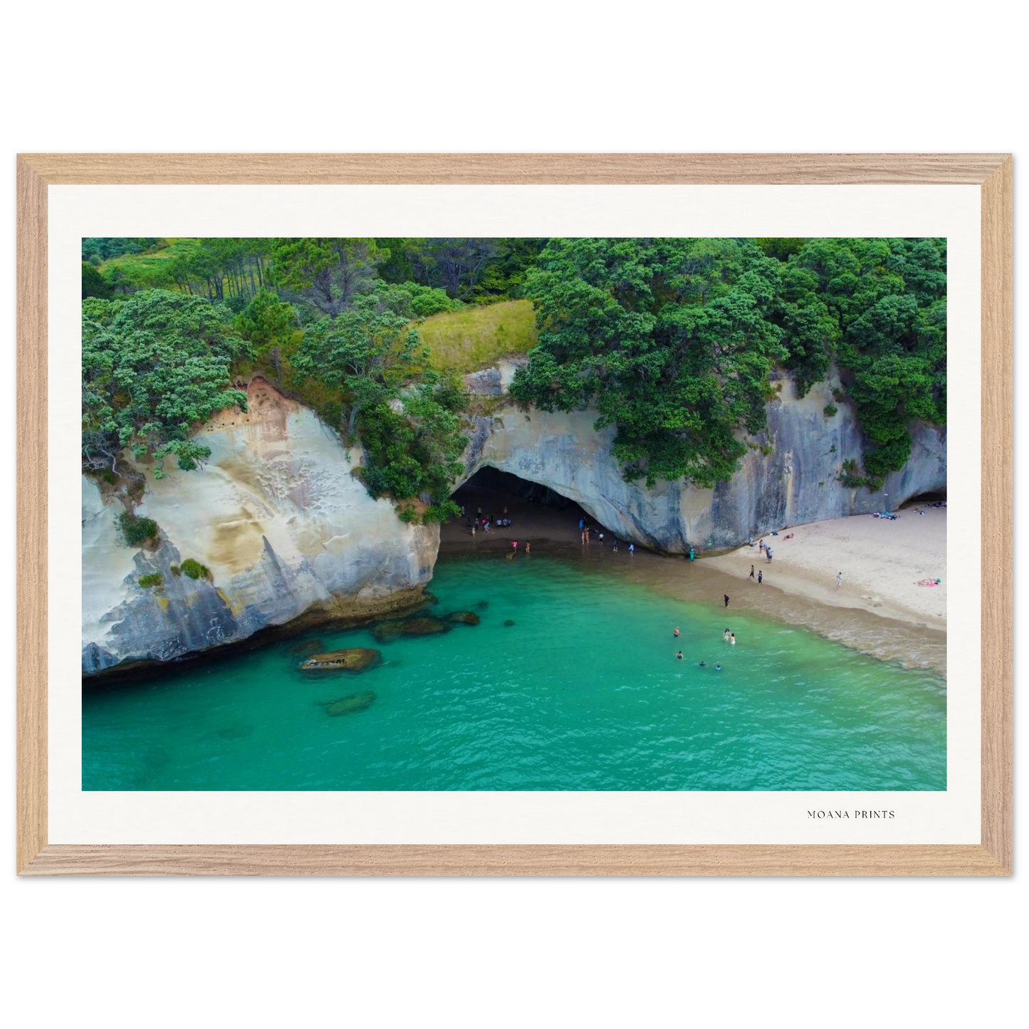 90aba89d-1a55-4d7d-838d-69d891b1d50f