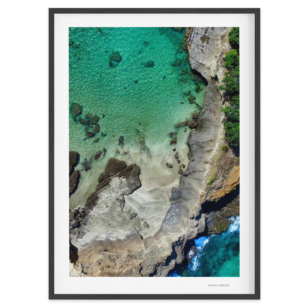 Coastal Contrast