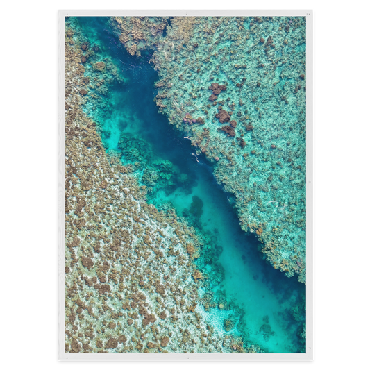 Coral Passage