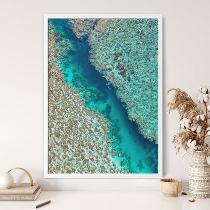 Coral Passage
