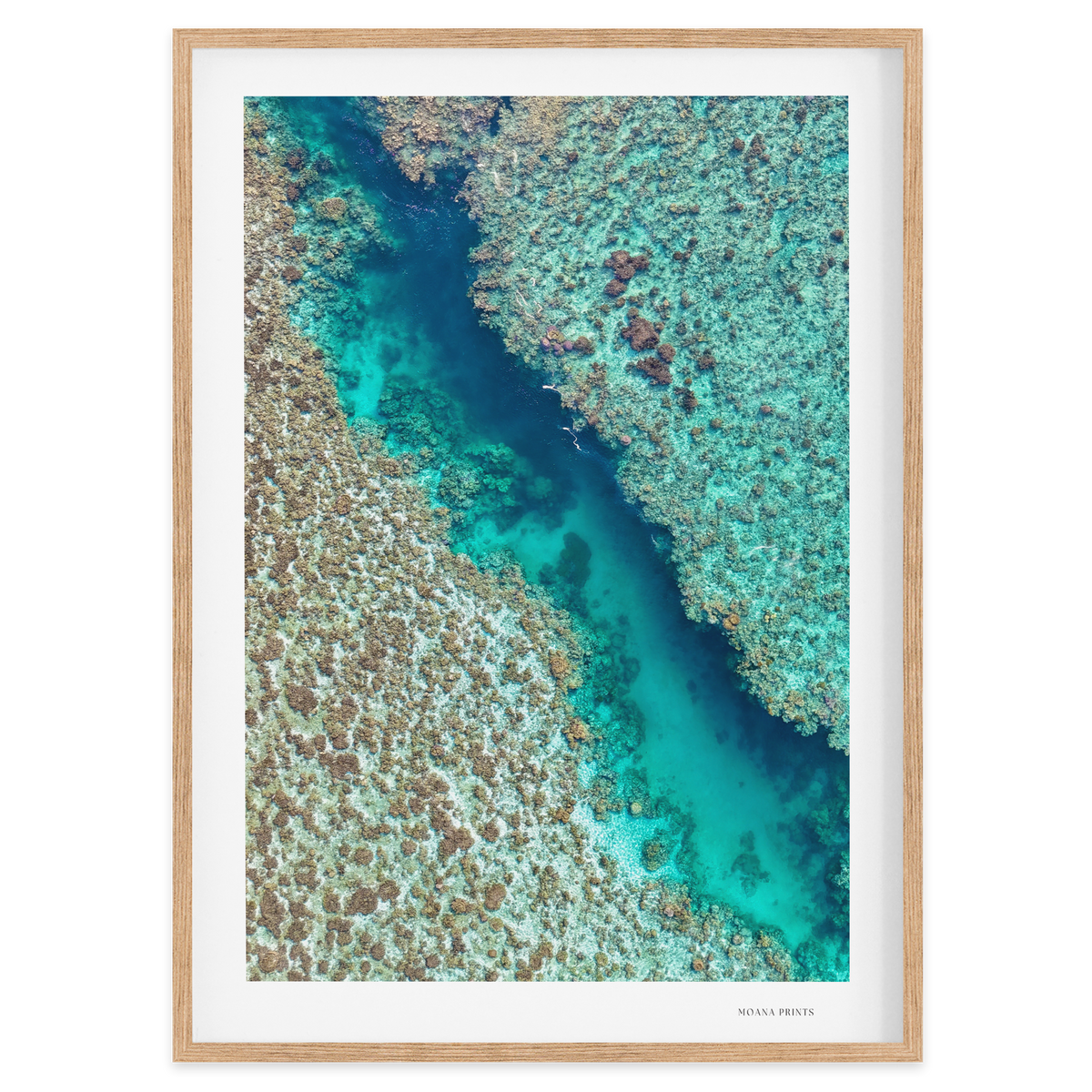 Coral Passage