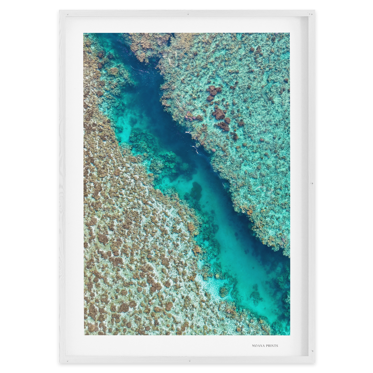 Coral Passage
