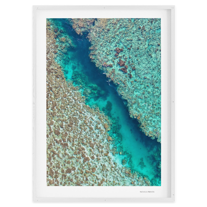 Coral Passage