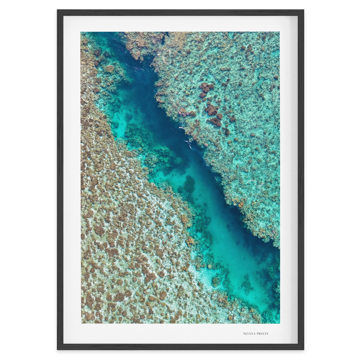 Coral Passage