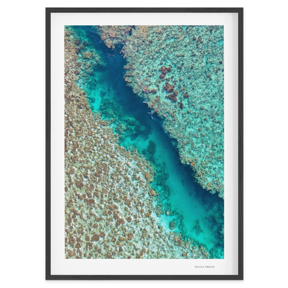 Coral Passage