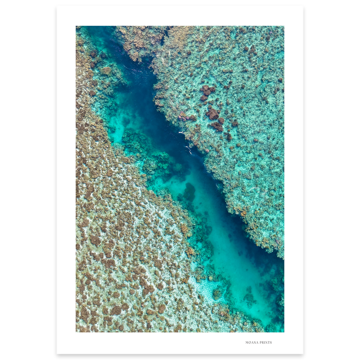 Coral Passage