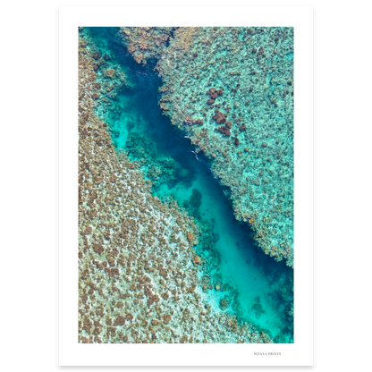Coral Passage