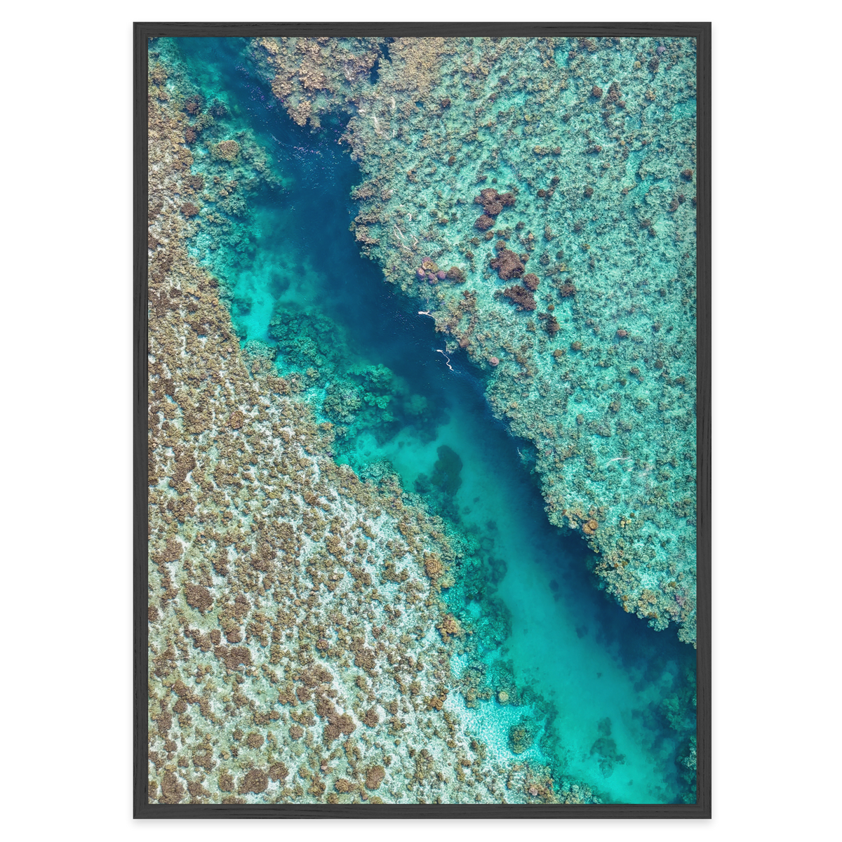 Coral Passage