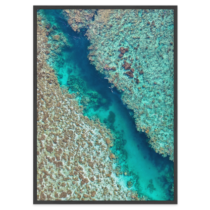 Coral Passage