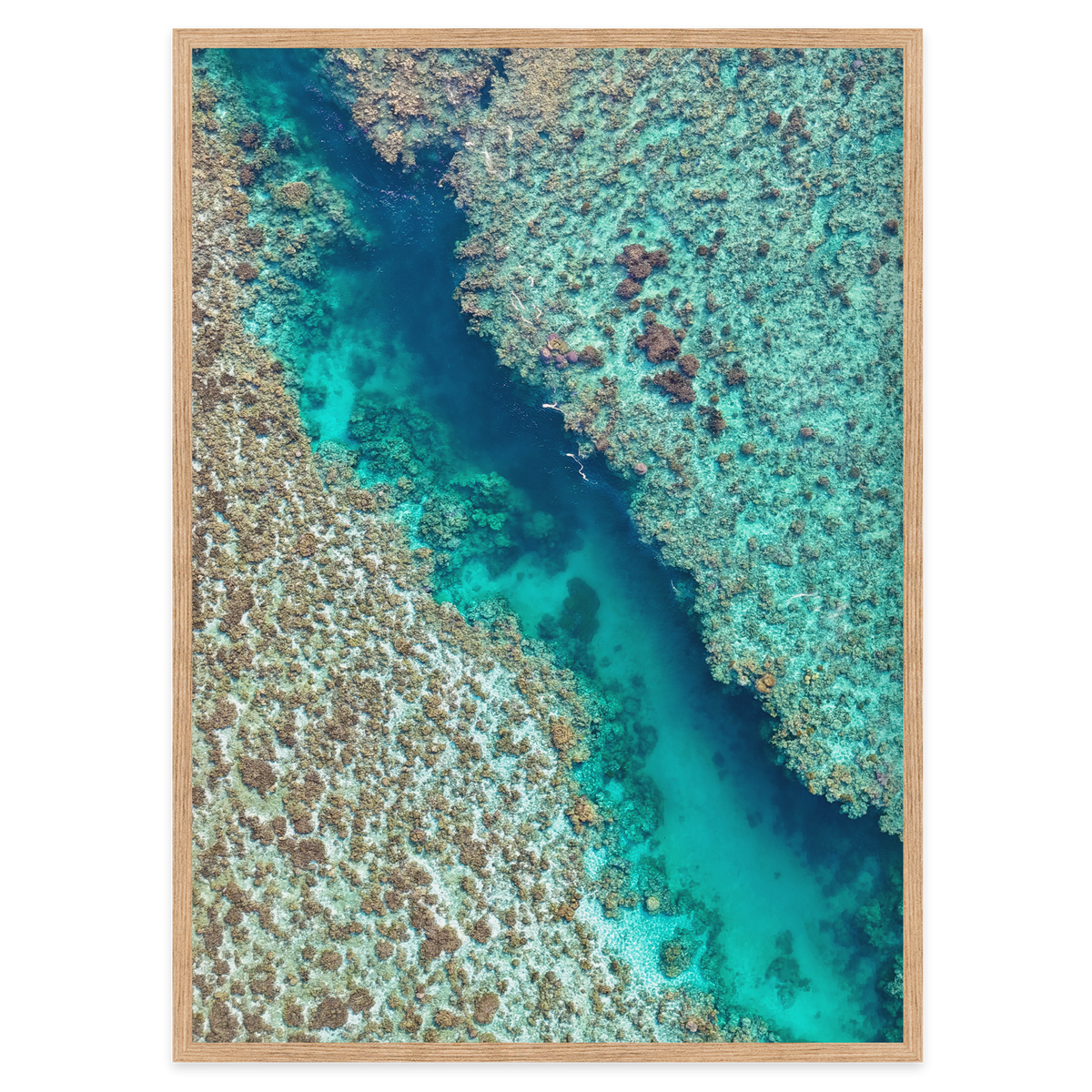 Coral Passage