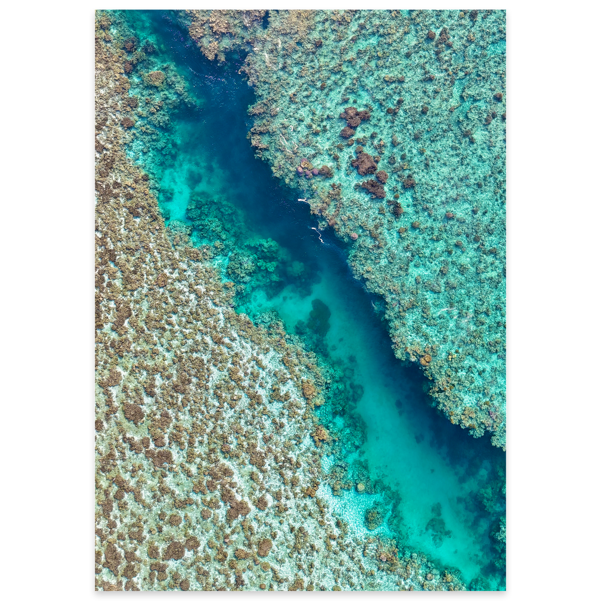 Coral Passage