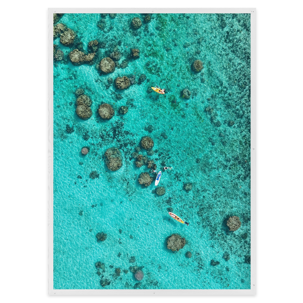 Drifting Over the Reef
