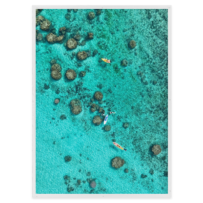 Drifting Over the Reef
