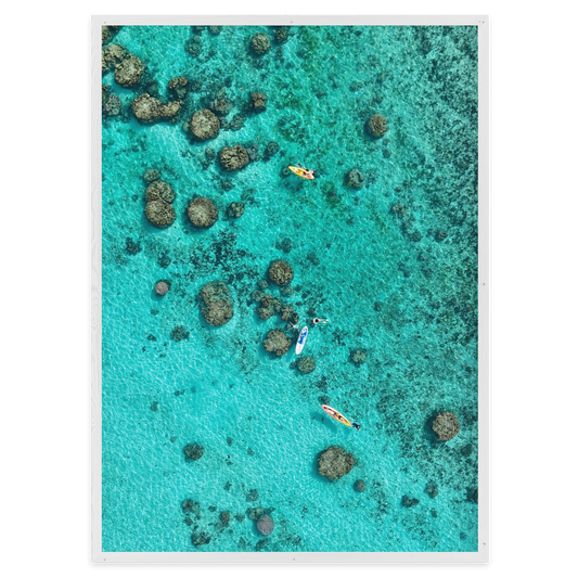 Drifting Over the Reef