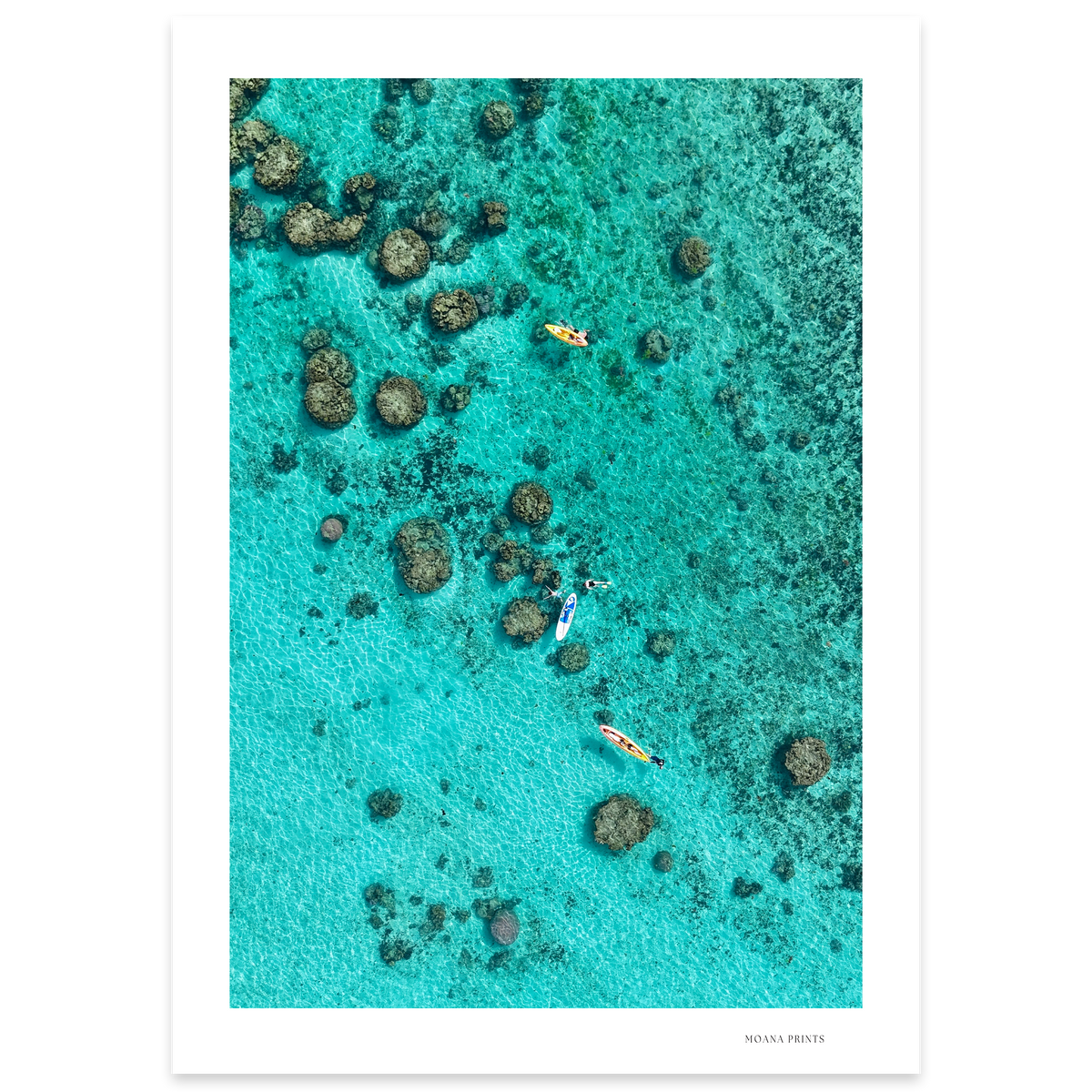 Drifting Over the Reef