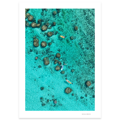Drifting Over the Reef
