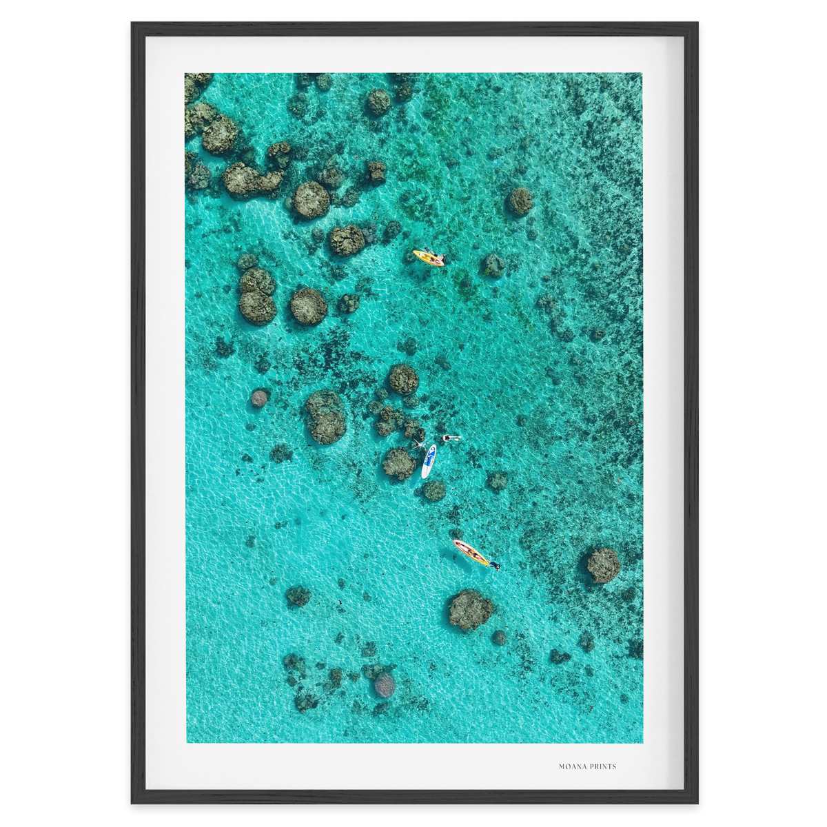Drifting Over the Reef