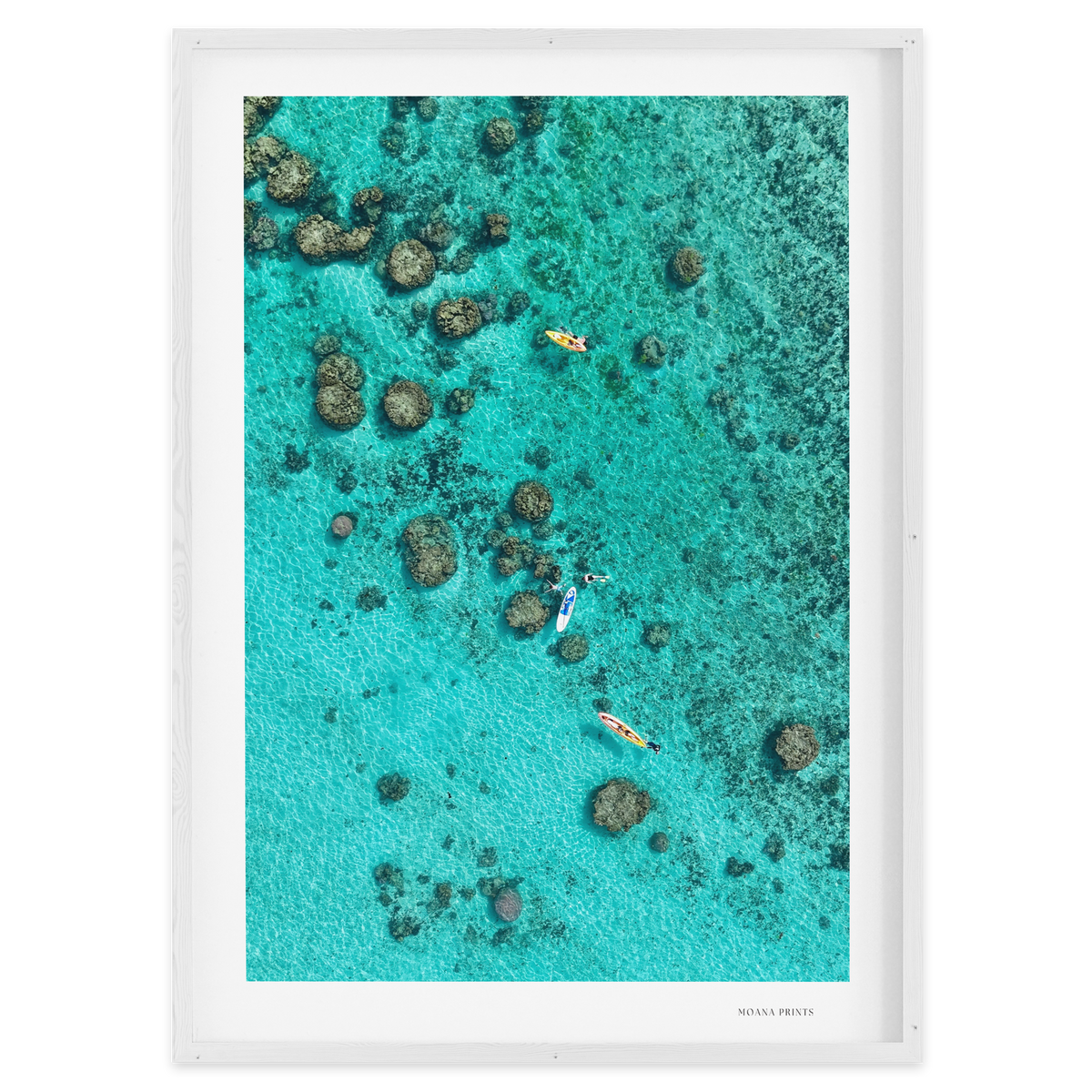 Drifting Over the Reef