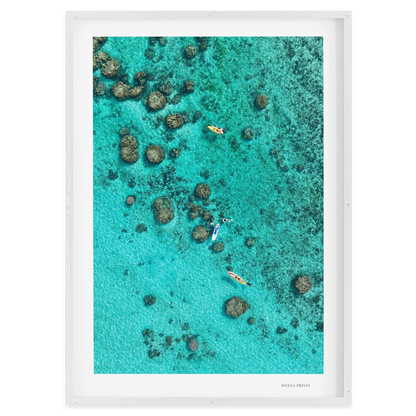 Drifting Over the Reef