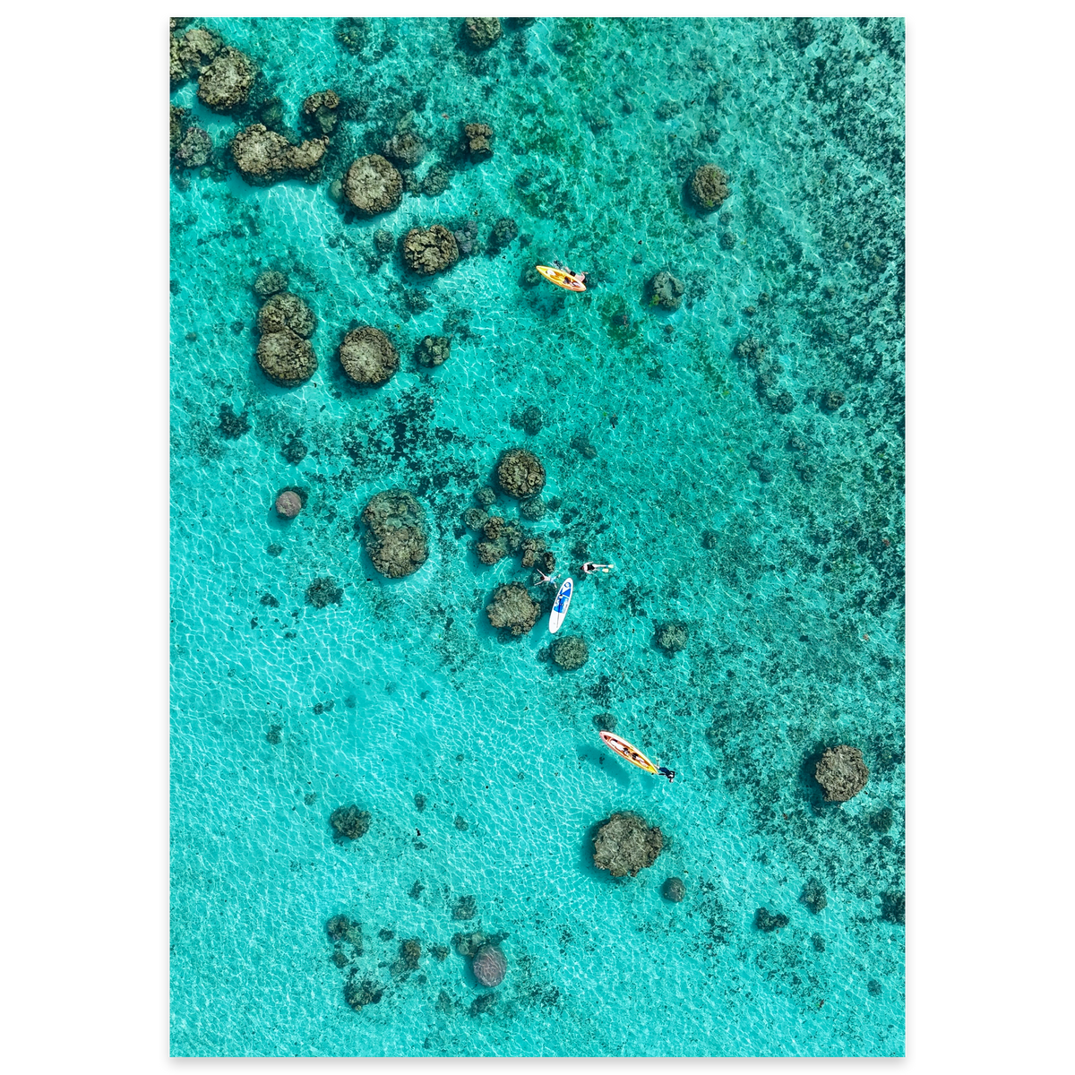 Drifting Over the Reef