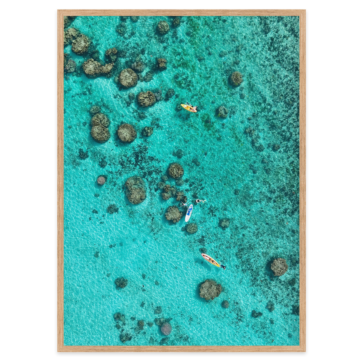 Drifting Over the Reef