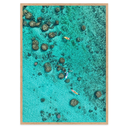 Drifting Over the Reef