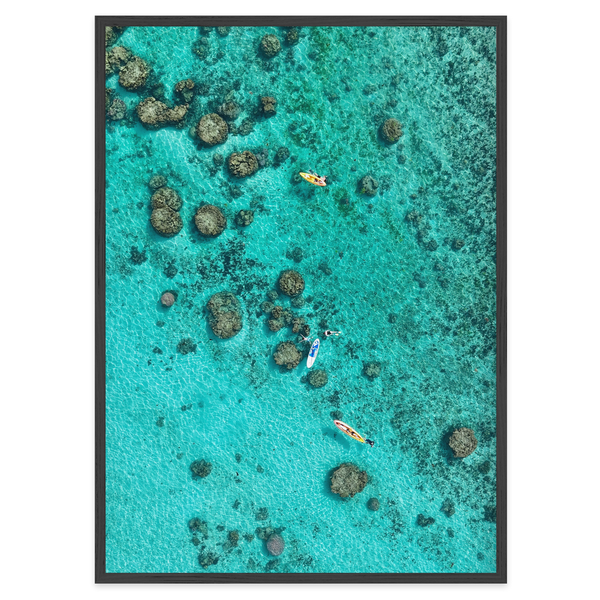 Drifting Over the Reef