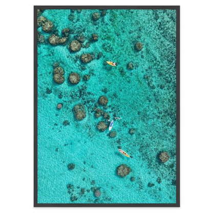 Drifting Over the Reef