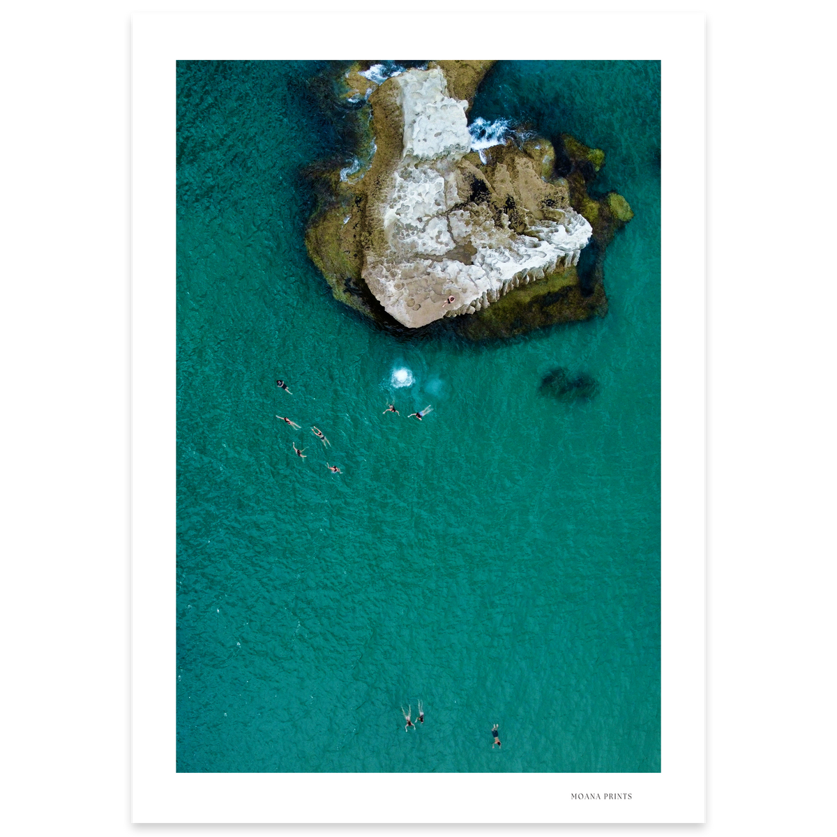 Fearless at the Cove