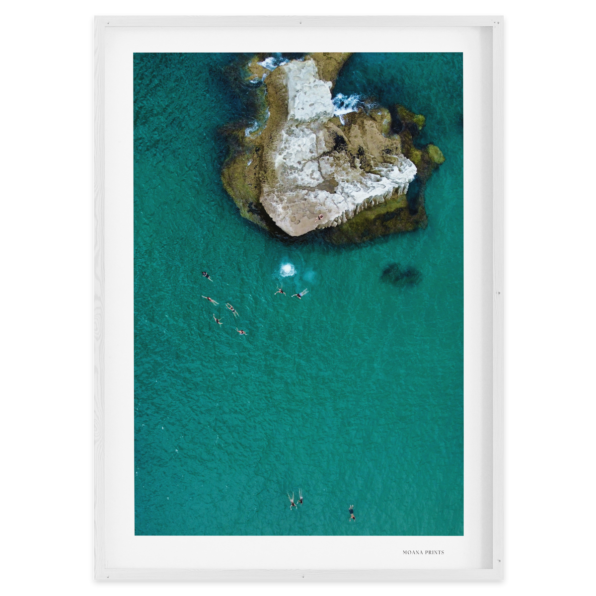 Fearless at the Cove