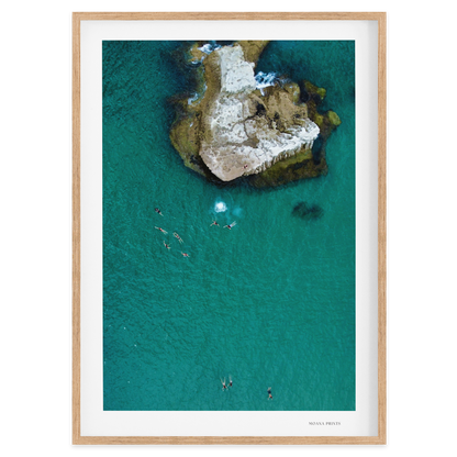 Fearless at the Cove