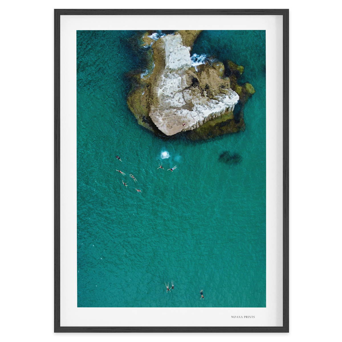 Fearless at the Cove