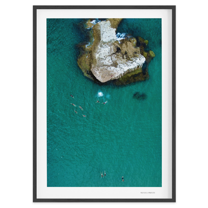 Fearless at the Cove
