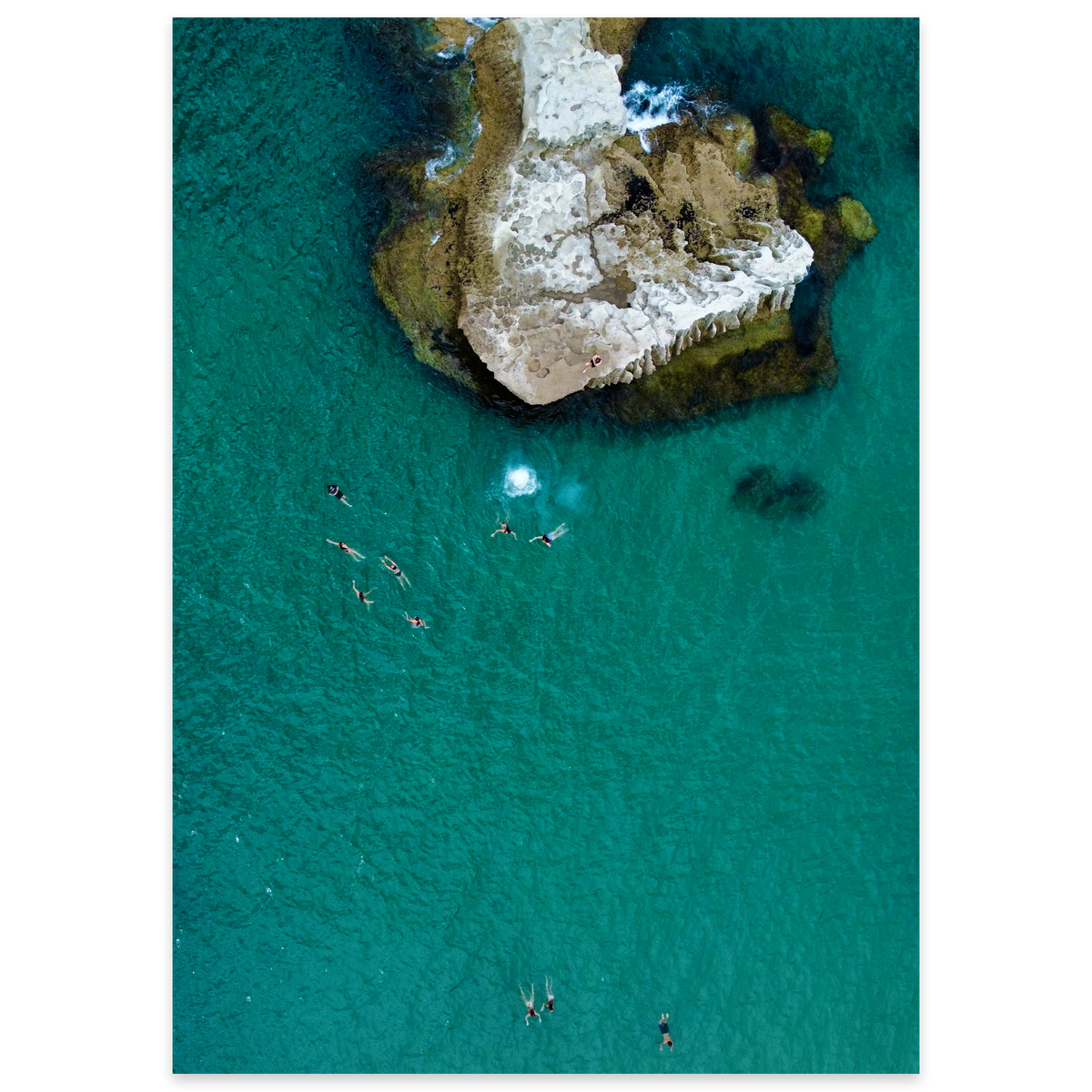Fearless at the Cove