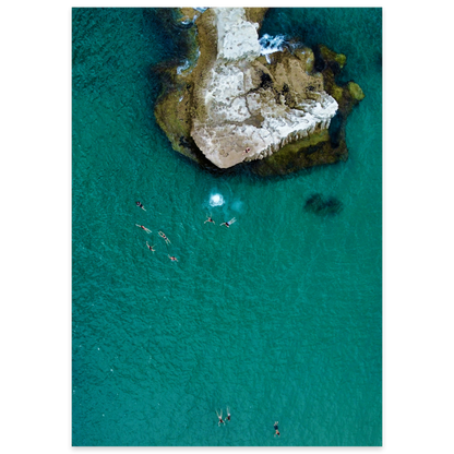 Fearless at the Cove