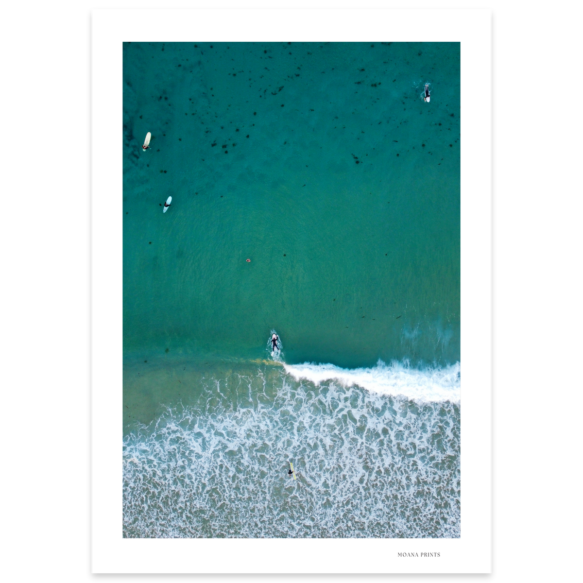 Following the Swell