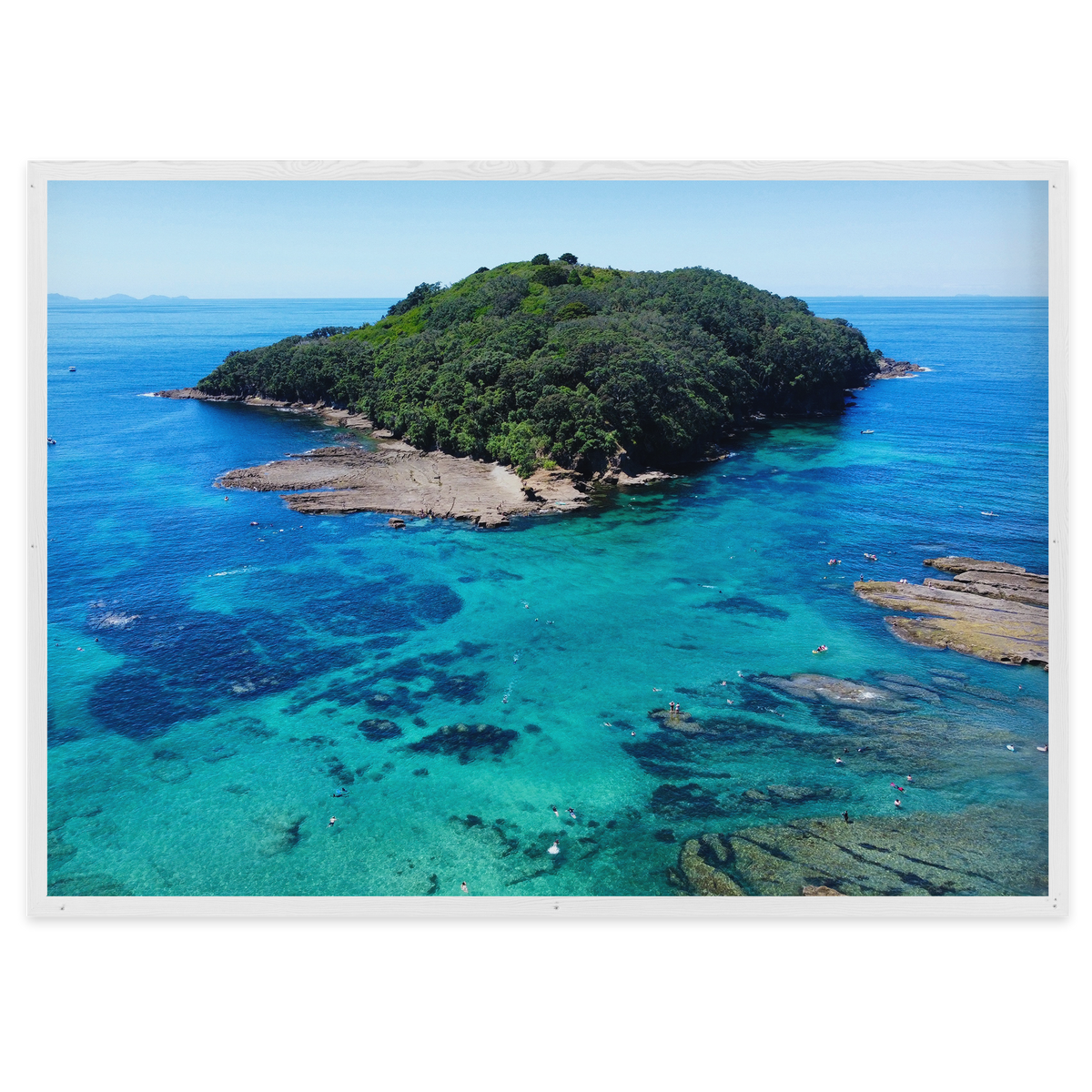 Goat Island Marine Reserve