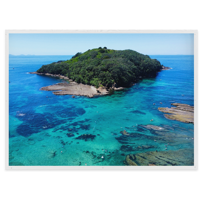 Goat Island Marine Reserve