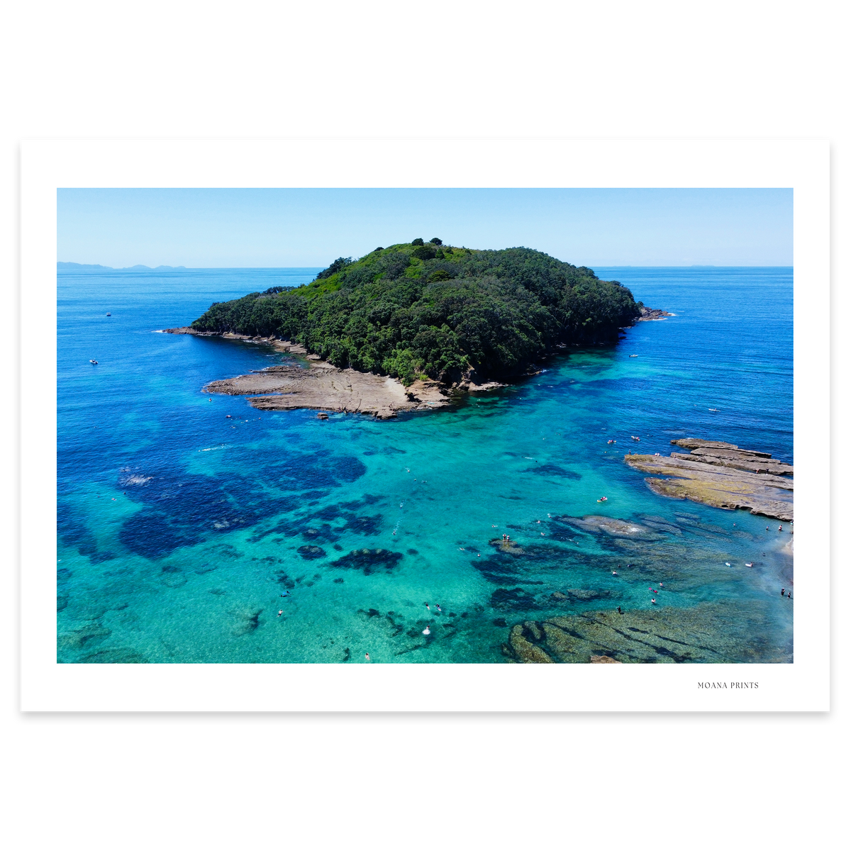 Goat Island Marine Reserve