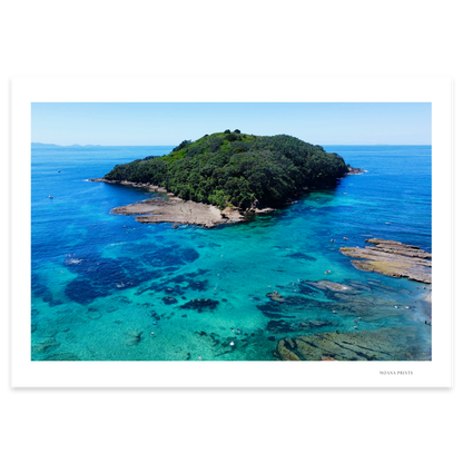 Goat Island Marine Reserve